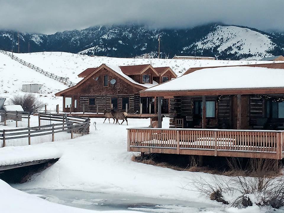 Creek Cabin Gardiner Exterior foto